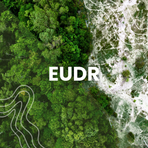 Doradztwo EUDR