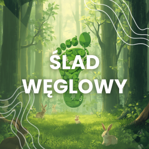 Obliczanie śladu węglowego